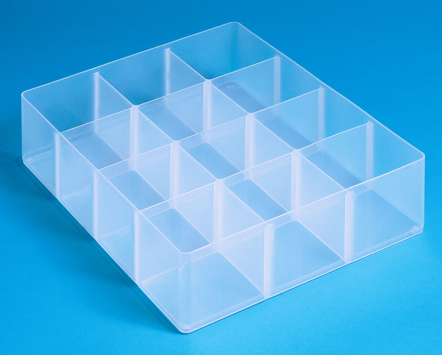 Large Tray 12 Compartments